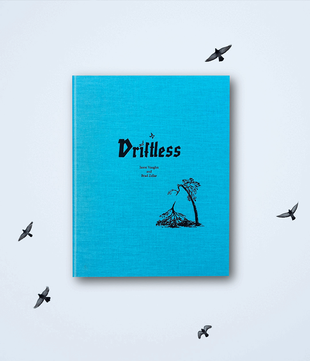 Driftless by Jason Vaughn and Brad Zellar - TBW Books