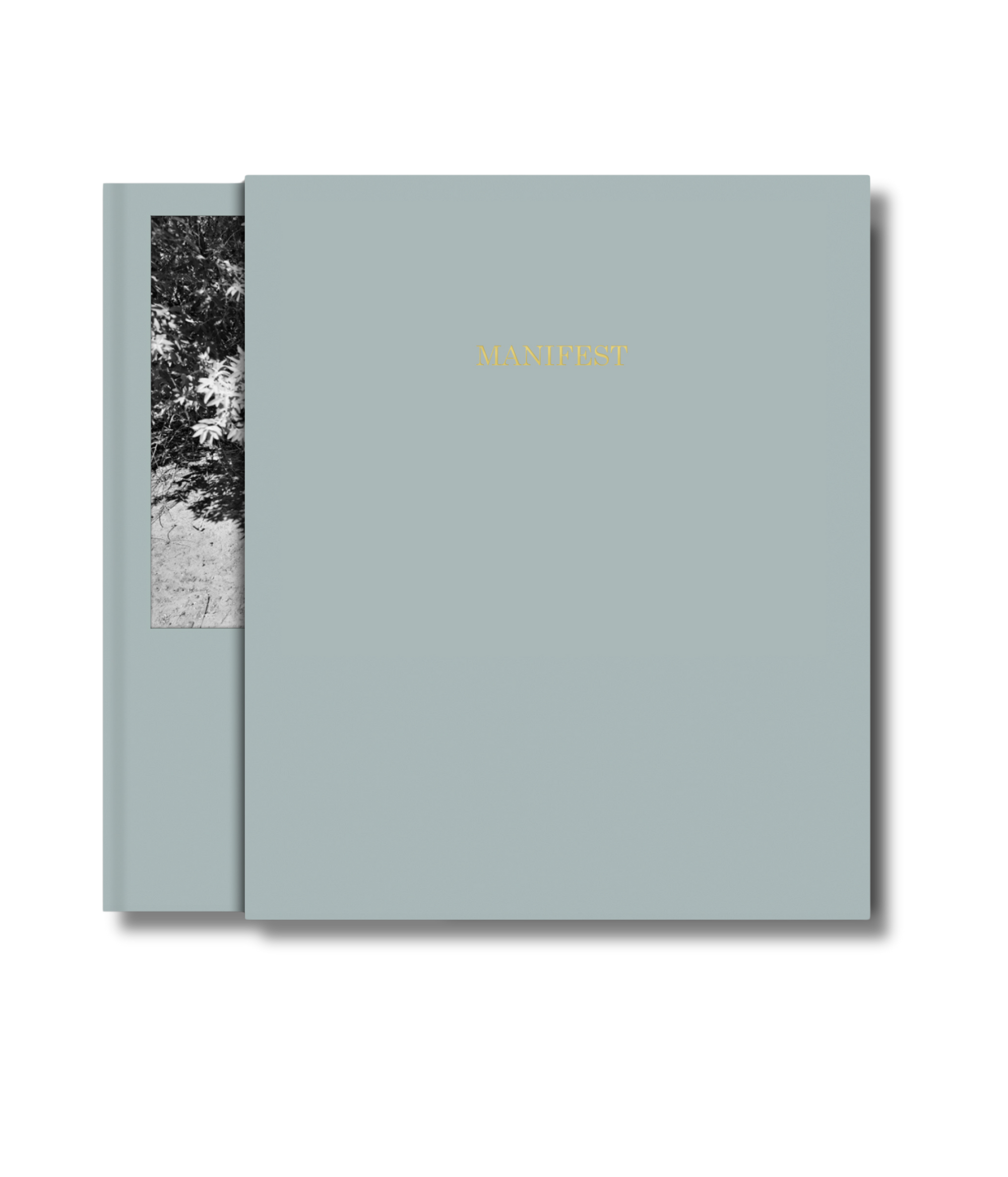 Manifest - Special Edition Slipcase with Print