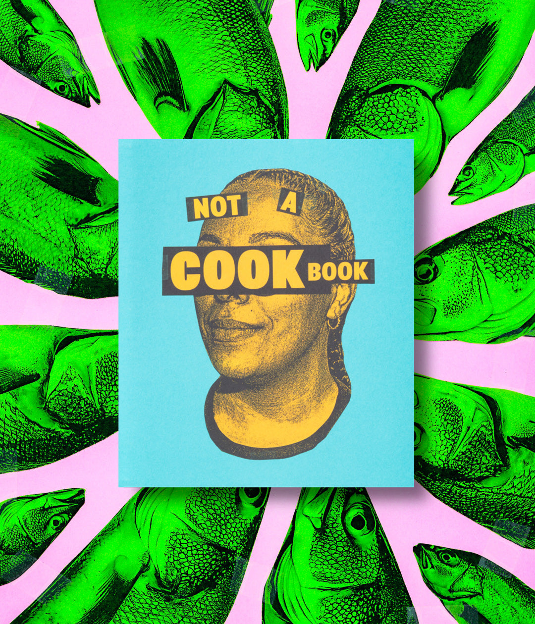 Not a Cookbook