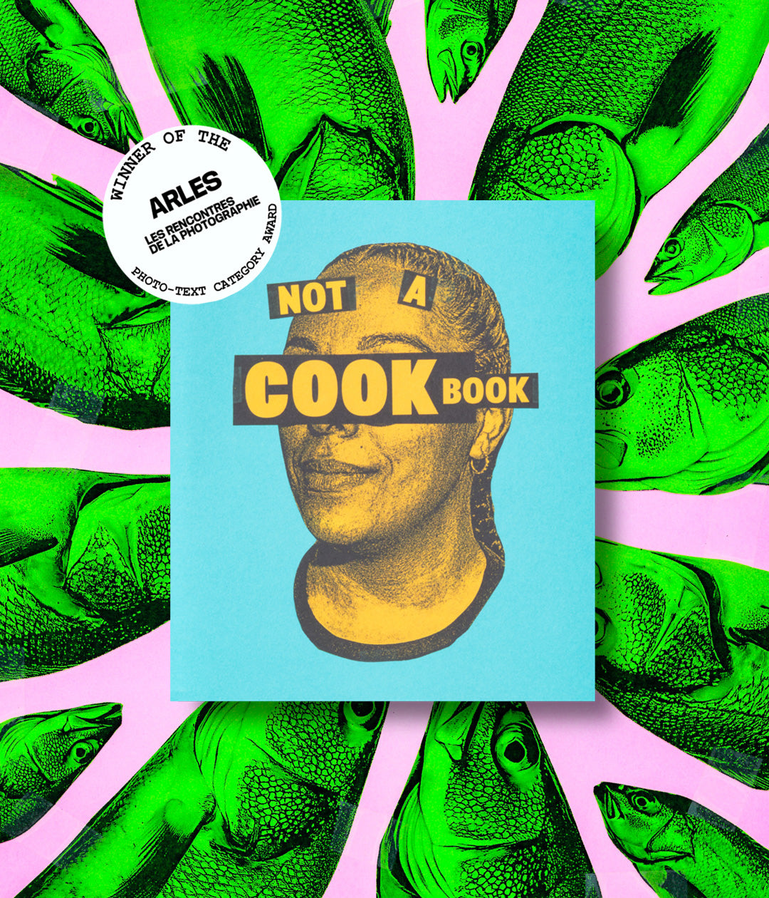Not a Cookbook